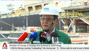 Singapore has not yet dipped into energy stockpile, is prepared for multiple scenarios: Tan See Leng