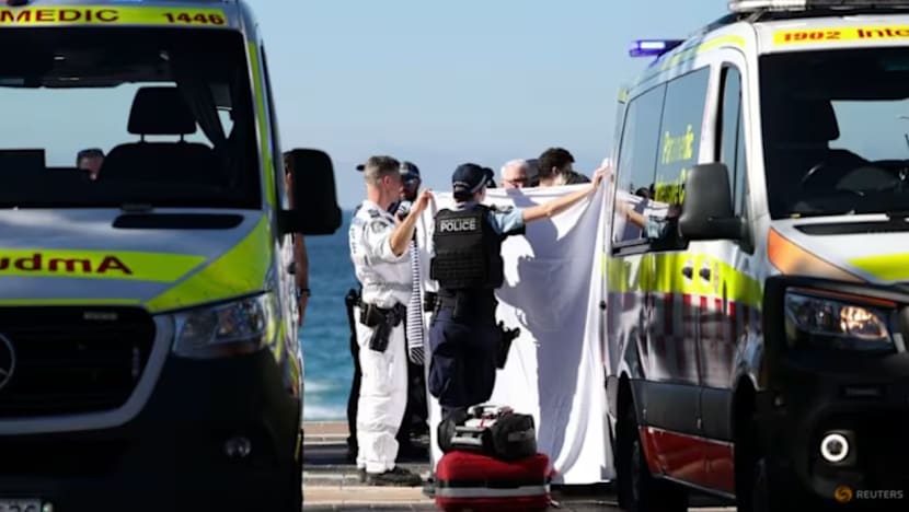 Wanita cedera parah diserang ikan yu di pantai Sydney