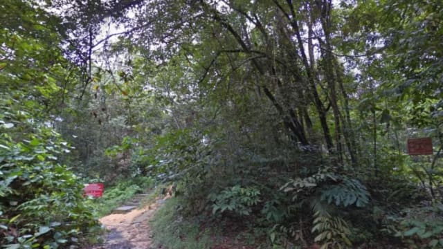 男子在森林禁区遭受枪伤 目前情况稳定