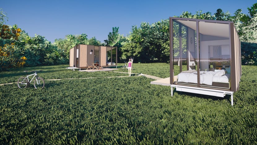 'Tiny houses' on Lazarus Island: Close to nature but can be damaging to ecosystem if not managed well, nature groups say 