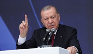Erdogan pushes Putin on 'limited ceasefire' at ports, energy facilities