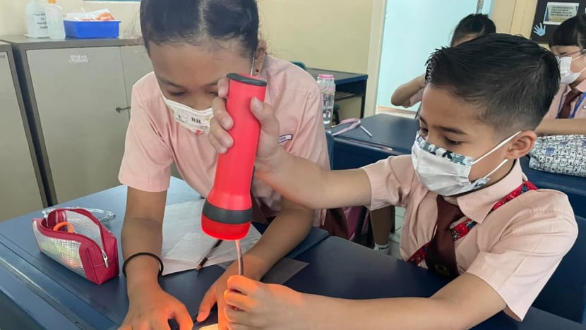 More than 500,000 young Singaporeans to receive S$200 Edusave or PSEA top-up More than 500,000 young Singaporeans to receive S$200 Edusave or PSEA top-up