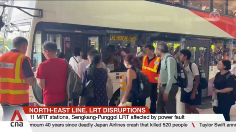 NEL, LRT disruptions: SBS Transit, LTA engineers to work overnight to restore power supply 