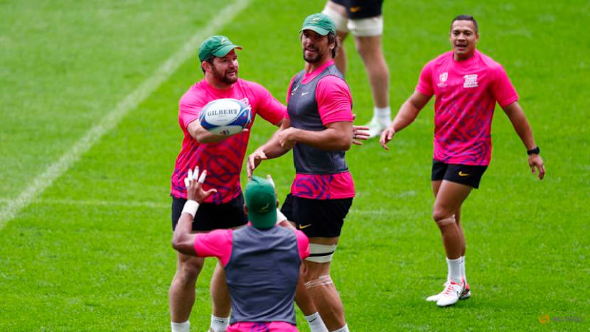 Blow for Springboks as Nche withdraws from team to face Argentina