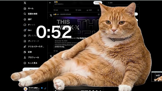 强制断网瘾！橘猫霸占萤幕，想不休息都难