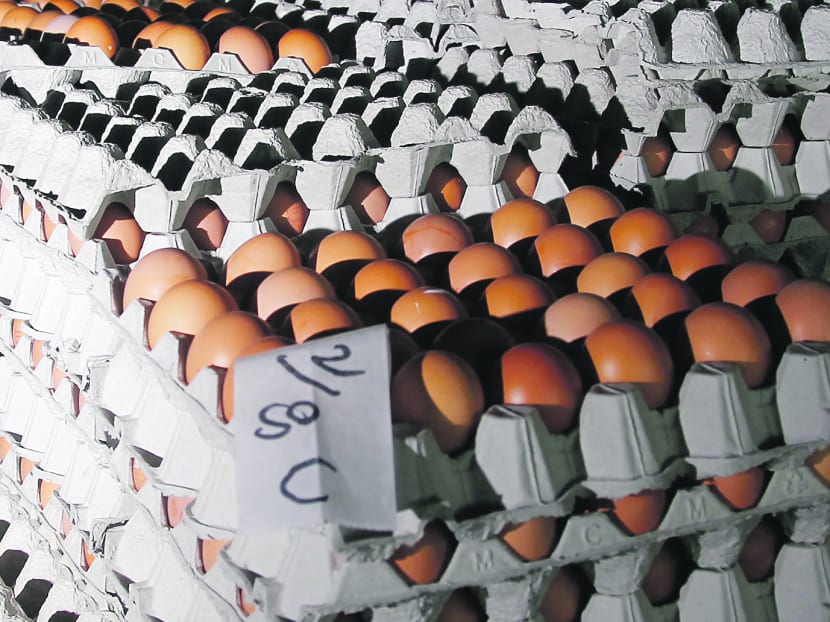 This Singapore farmer is one tough egg to crack