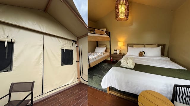 畅游3个主题动物园、非一般露营体验……2天1夜在Colugo Camp“放飞自我”、疗愈充电！