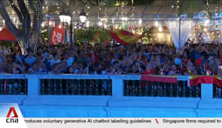 Football fans in Singapore throng community hubs, F&B outlets to watch World Cup final