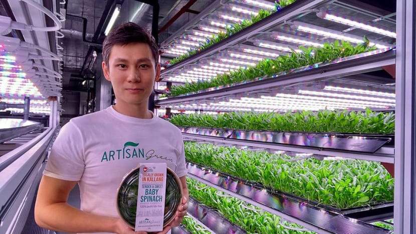 From Macau's casinos to a Kallang farm: The gaming industry professional who now grows baby spinach