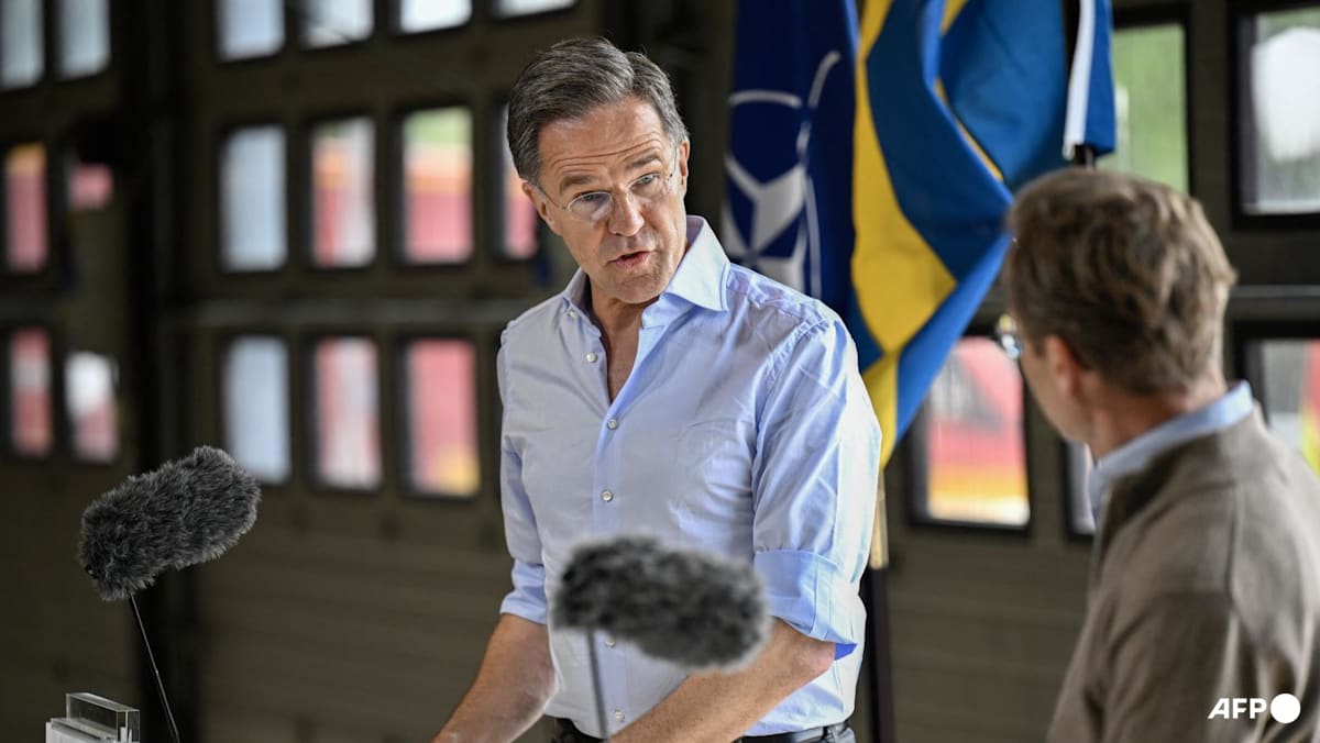 Many NATO members 'not spending enough' to support Ukraine: NATO chief
