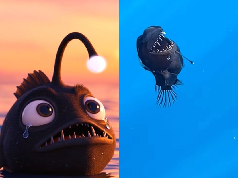 Why an anglerfish's viral moment has us all swimming in our feelings