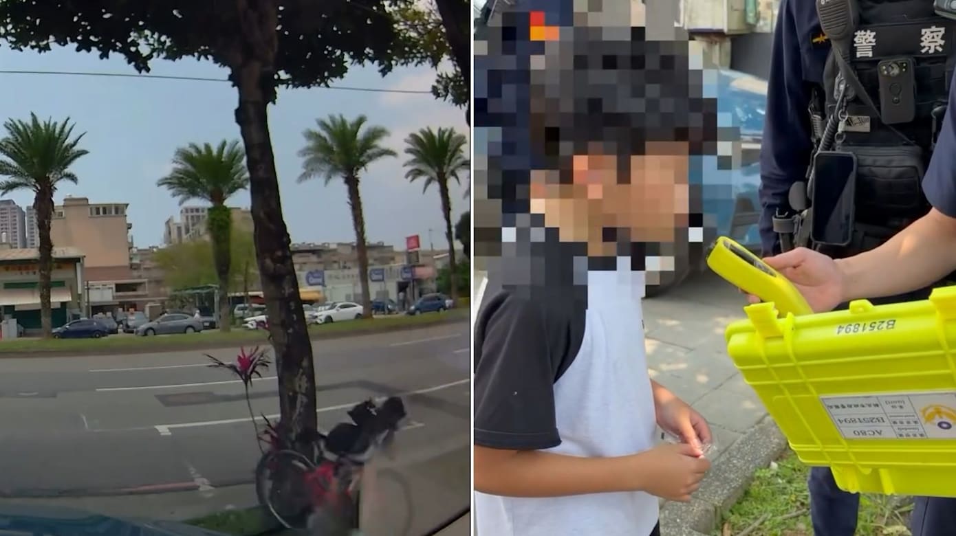 骑车时为闪避轿车不慎撞树 台男童被警方要求做酒测