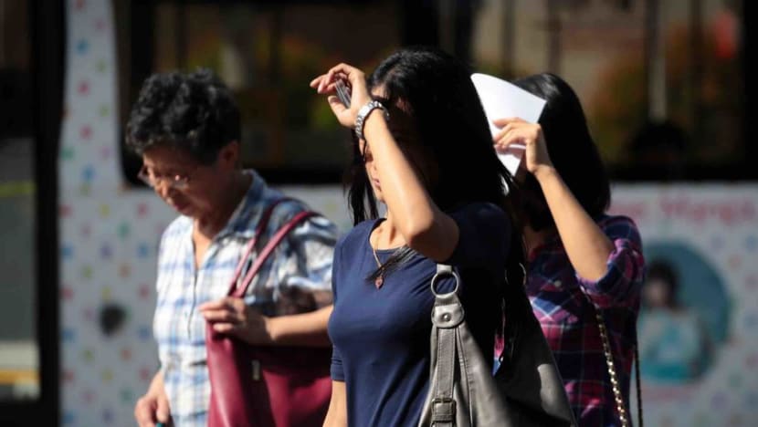 Warm weather in S’pore to continue over the next two weeks: Met Service