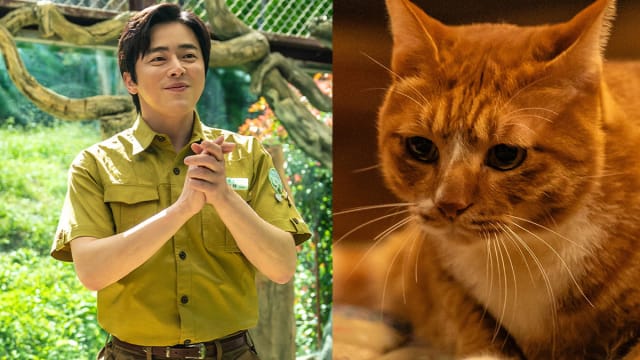 大赞橘猫“超会演”　曹政奭戏里戏外都是唱跳达人老爸！