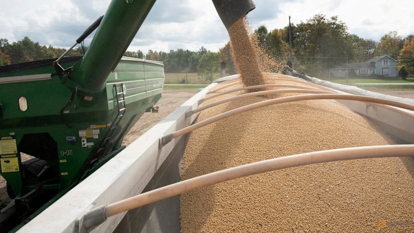 China imports no US soybeans in September for first time in seven years China imports no US soybeans in September for first time in seven years