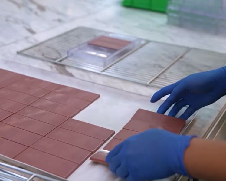 Taiwan's artisanal chocolate makers earn global recognition but climate change threatens growth
