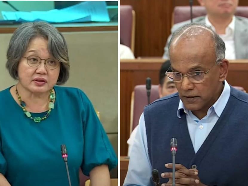 Constitutional amendment shields against 'creative arguments' challenging definition of marriage: Shanmugam