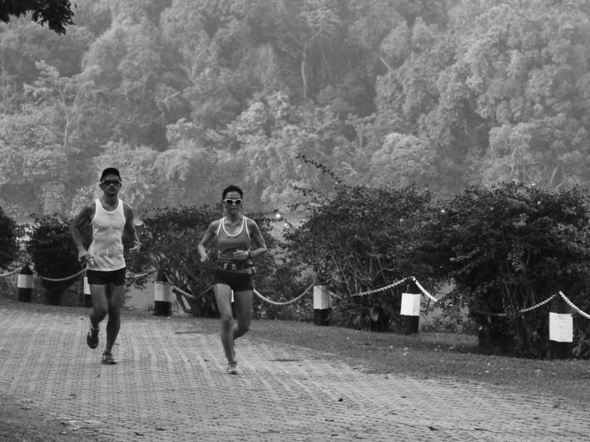 Nature reserves and national parks here are accorded the highest level of protection. But, for nature reserves, this protection has been challenged and ceded more than once since our independence as a nation. TODAY File Photo Nature reserves and national parks here are accorded the highest level of protection. But, for nature reserves, this protection has been challenged and ceded more than once since our independence as a nation. TODAY File Photo