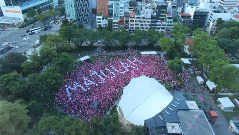 Pink Dot returns to Hong Lim Park for the first time since COVID-19 pandemic started; MPs among attendees