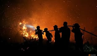 Akibat karhutla, emisi Indonesia jadi yang tertinggi di dunia