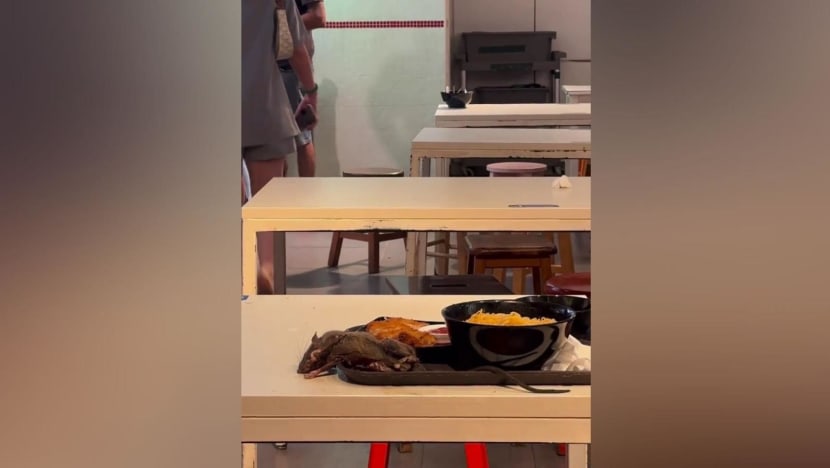 SFA investigating video showing twitching rat on food tray at Tangs Market