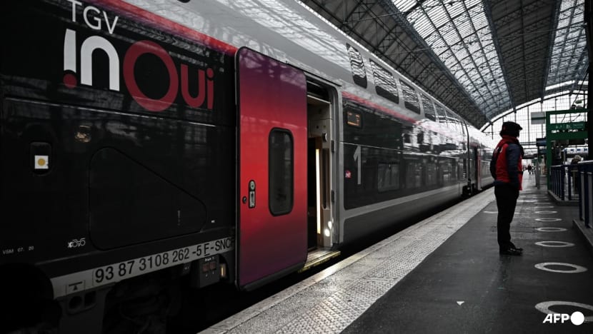 Cat on train tracks? 20 minutes to retrieve it, France says Cat on train tracks? 20 minutes to retrieve it, France says