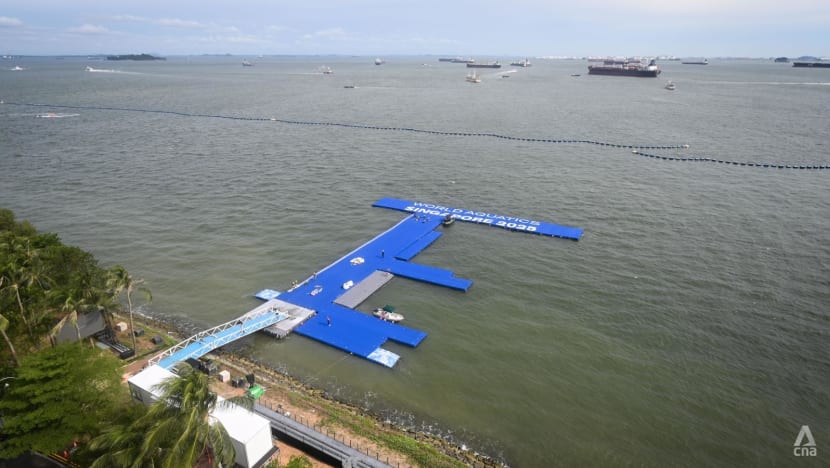 World Aquatics Championships: E. coli bacteria to blame for postponed Sentosa open water race