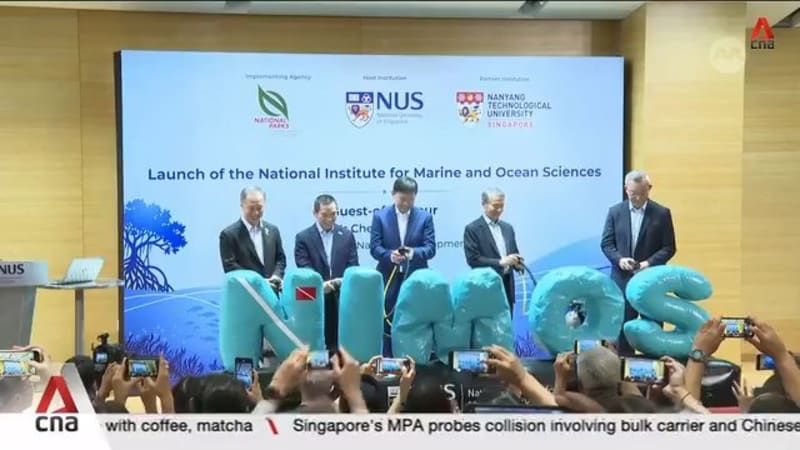 Singapore launches new S$60m institute to strengthen marine conservation, management