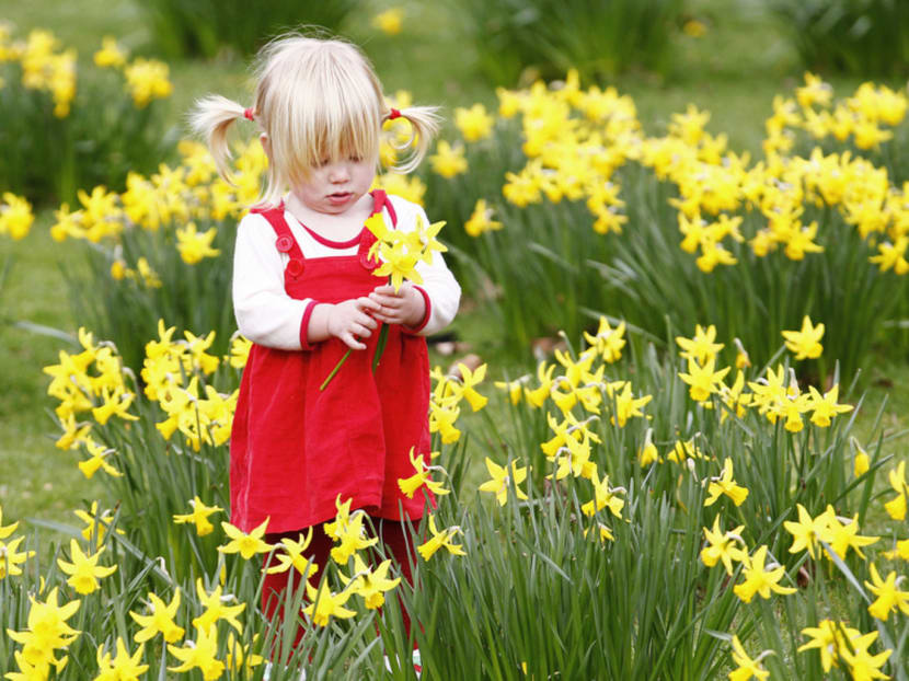 Research has shown that humans see colour differently in summer, with yellow appearing more green than in the winter months. Photo: Reuters