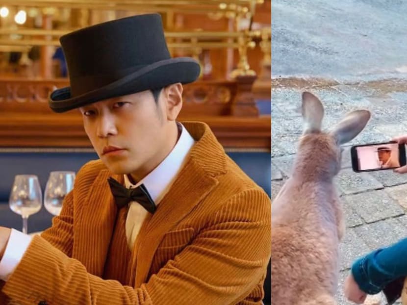 Jay Chou Watches New Music Video With A Kangaroo; Asks The Animal If The Song Is Okay