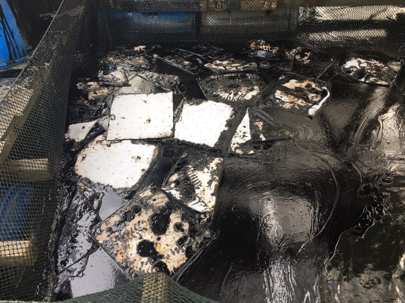 A box containing oil-soaked sheets at Mr Timothy Ng’s 2Jays Pte Ltd fish farm. Mr Ng said no more than 10kg of fish at his farm had died due to the oil spill on Jan 3, 2017. Photo: Alfred Chua/TODAY