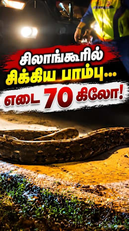 சிலாங்கூரில் சிக்கிய