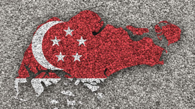 【GE2025】尚达曼总统：大选的真正赢家是新加坡