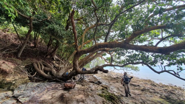 国家公园局完成南部岛屿生物多样性调查 发现44个从未发现物种