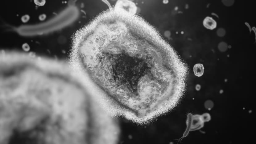 CNA Explains: Who's at risk of mpox, and how worried should you be? CNA Explains: Who's at risk of mpox, and how worried should you be?