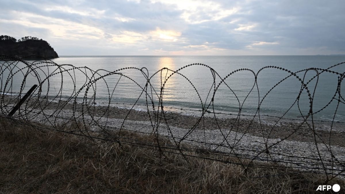 North Korean rescued after swimming across border: Seoul North Korean rescued after swimming across border: Seoul