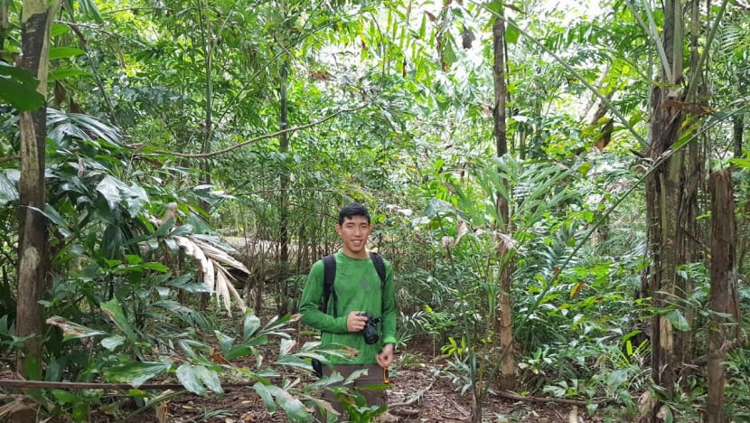 Monkey business: Youths aim to share love of nature, wildlife with others