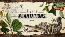 Lost Plantations