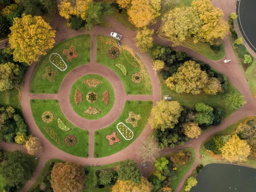 In the study involving 3,101 businesses across 15 markets, around 50 per cent of the over 150 Singapore businesses polled agree that environmental sustainability is "necessary or important" for their business. 