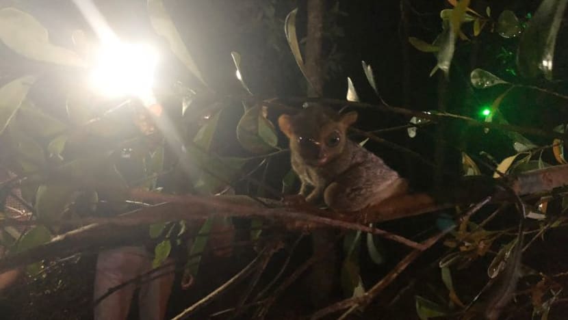 Related article image