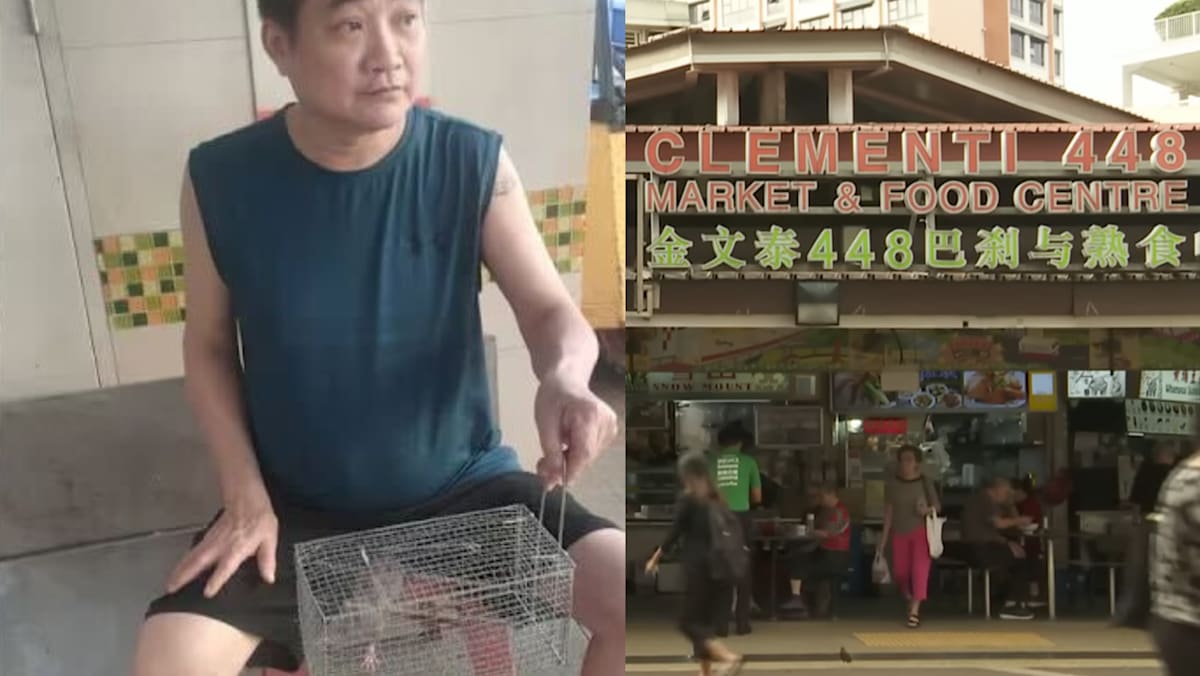 Clementi hawker centre stallholders call in experts to dispose of trapped rats