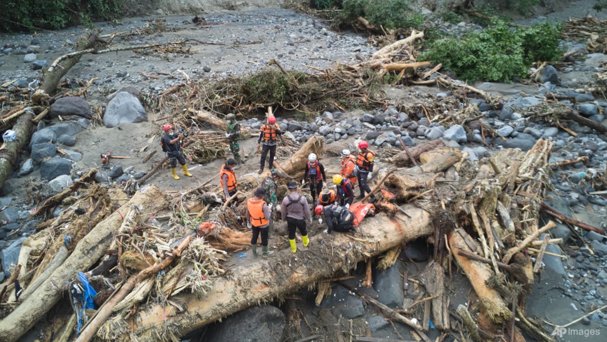 Did deforestation worsen Sumatra disaster? Indonesia to trace timber, summon companies to explain