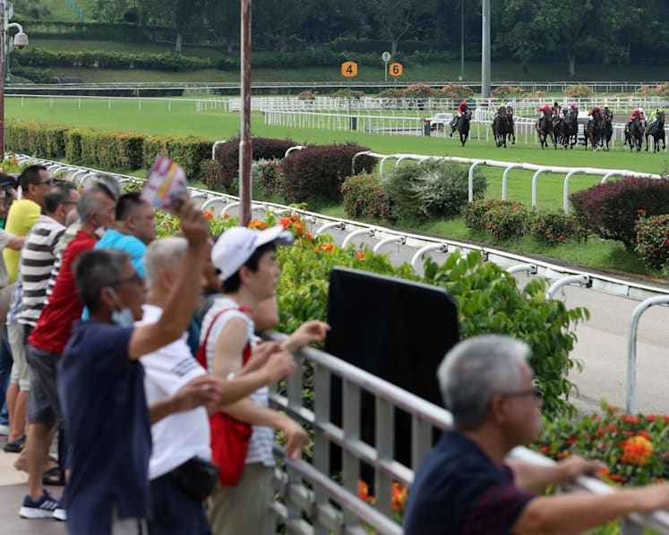 Singapore Turf Club closure: Horse trainers, owners will get help to find new jobs, rehome horses, says Indranee Rajah