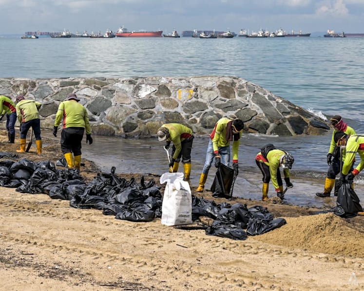 Oil spill: Several beaches, including East Coast Park and Sentosa's Siloso, mostly cleared of oil