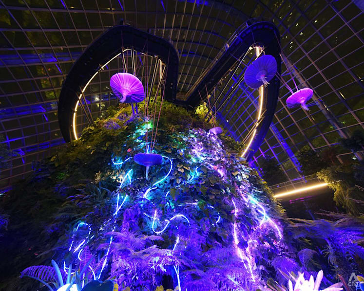 Welcome to Pandora: Check out the new Avatar immersive exhibit at Gardens by the Bay's Cloud Forest