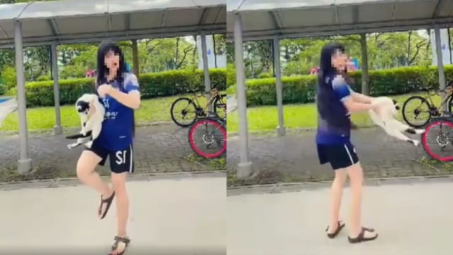 抱猫左摇右晃被指虐猫 防止虐待动物协会：女子表现悔意
