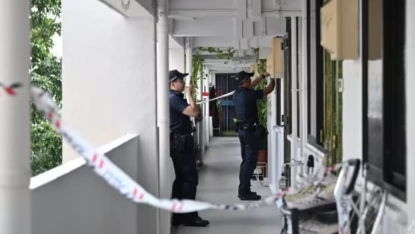 Lelaki didakwa bunuh saudara lelaki di Boon Lay Avenue Lelaki didakwa bunuh saudara lelaki di Boon Lay Avenue