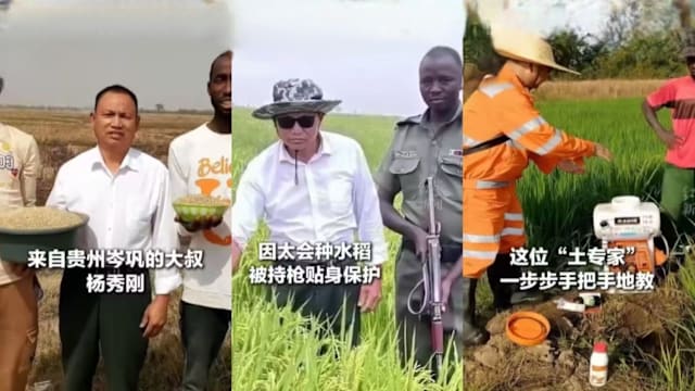 中国大叔非洲种水稻 技术精湛获持枪保护