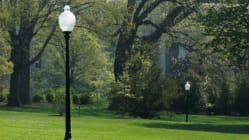 Related article image