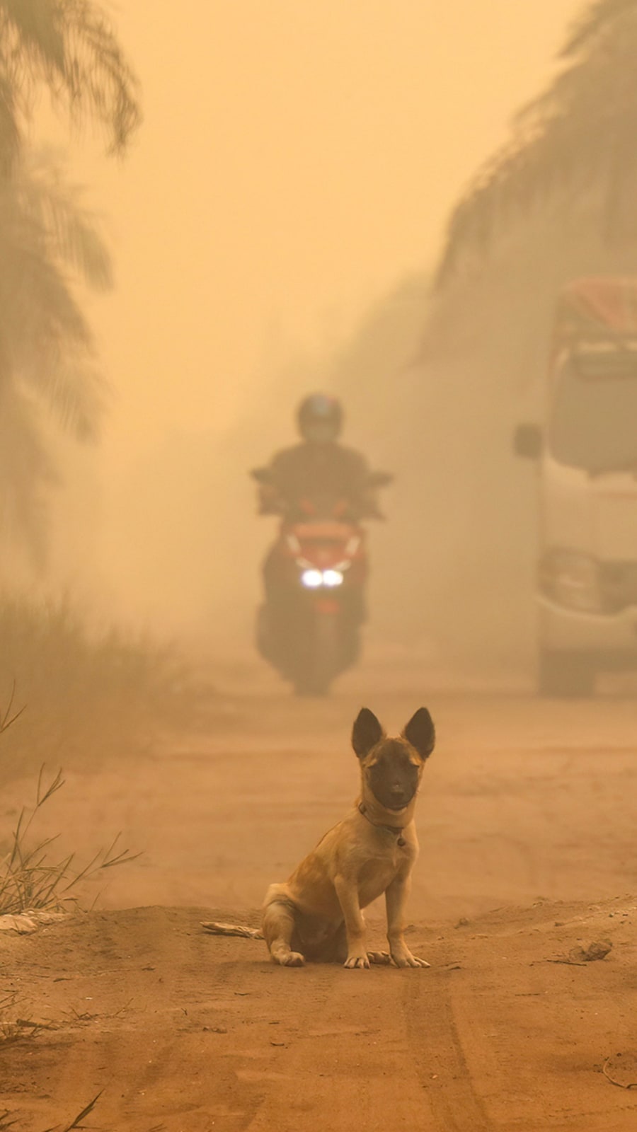 ‘Hazardous’ levels of air quality in parts of Indonesia’s Borneo